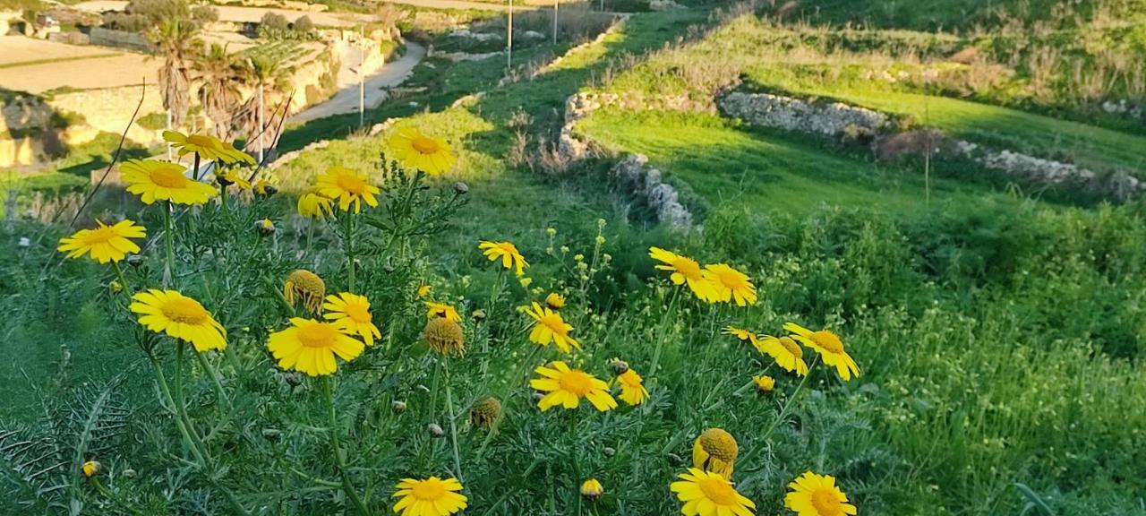 Grotto'S Paradise B&B Għarb Exterior foto